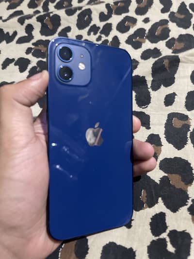 Iphone 12 PTA APPROVED