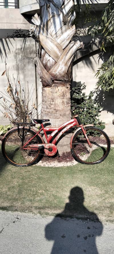 Large used bicycle for 13 to 19 age  girls boys