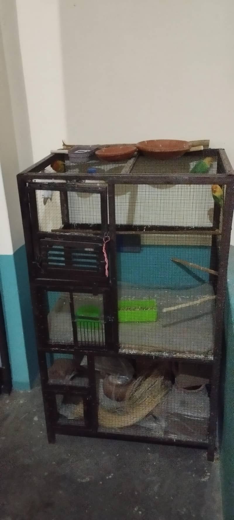 bird cage 6