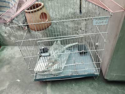 Bird Cage