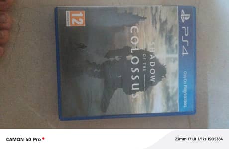 shadow of the colossus