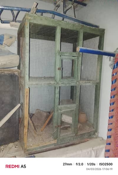 cage for hens and peagon