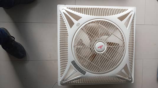 ceiling fans (one season used)