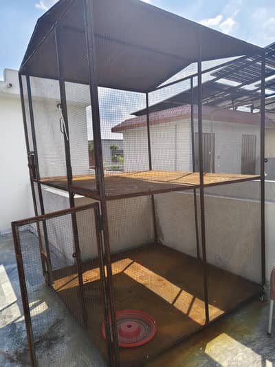 Birds/Pigeon Cage untouched