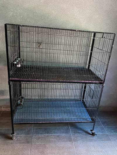 Cage for African Grey Parrot