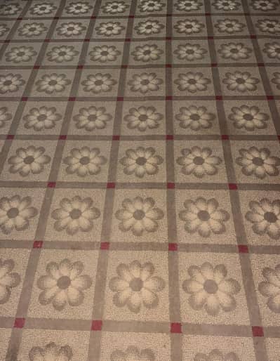 carpet for sale (14×12 ft)