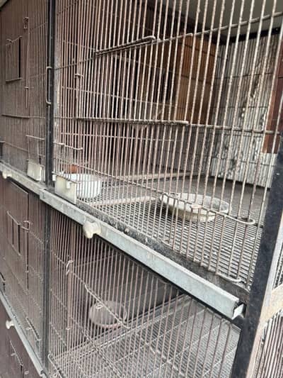 Cages 6 Feet Height 4 Feet Width 2.5 Feet Depth