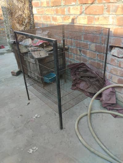 hen cages for sale