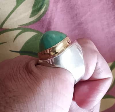 Hussaini Shajri Feroza