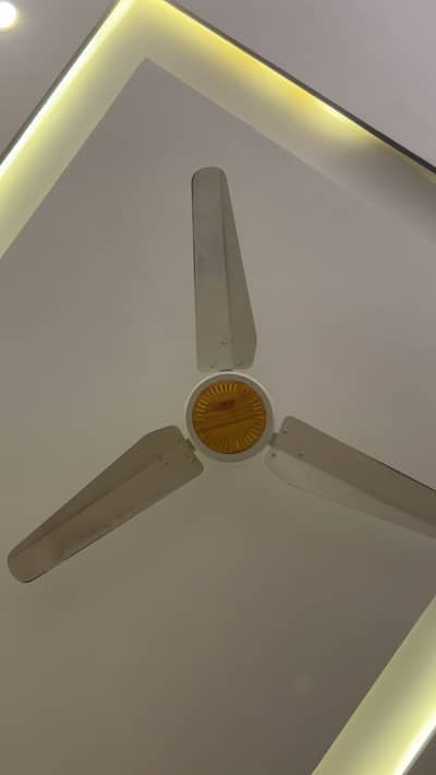 Ittefaq Fans like brand new