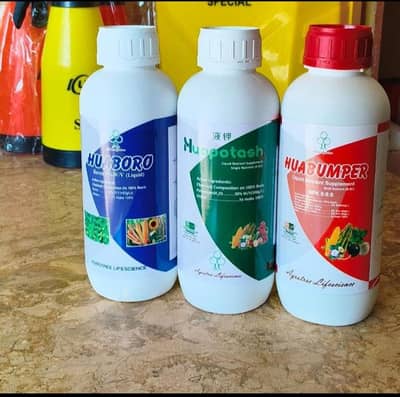 Bismillah Agri Salutation