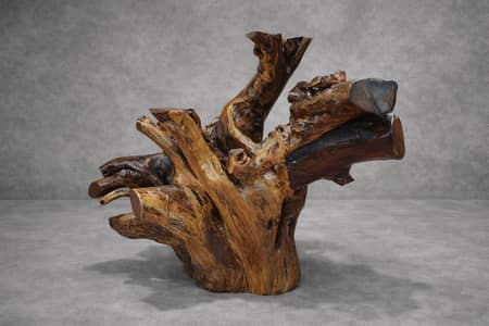 Organic Root Console Table for Sale