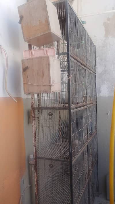 10 Portion Heavy Cage