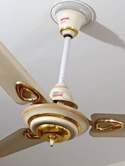 Royal Fans Original in Cooper For Sale
