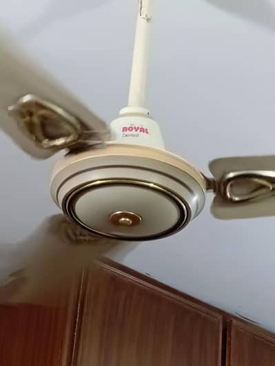 Royal Fans Original in Cooper For Sale