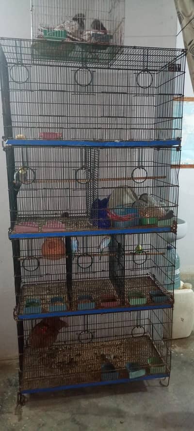 8 portion fordable cage