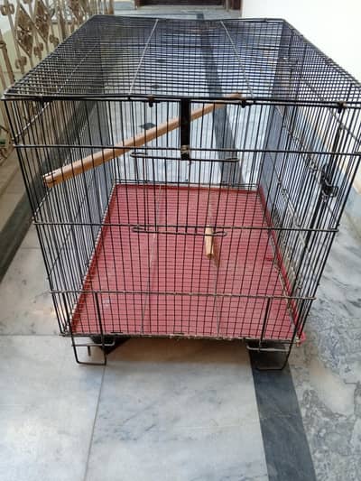 Buggies Cage