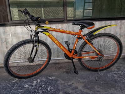 Chicago bicycle for sell