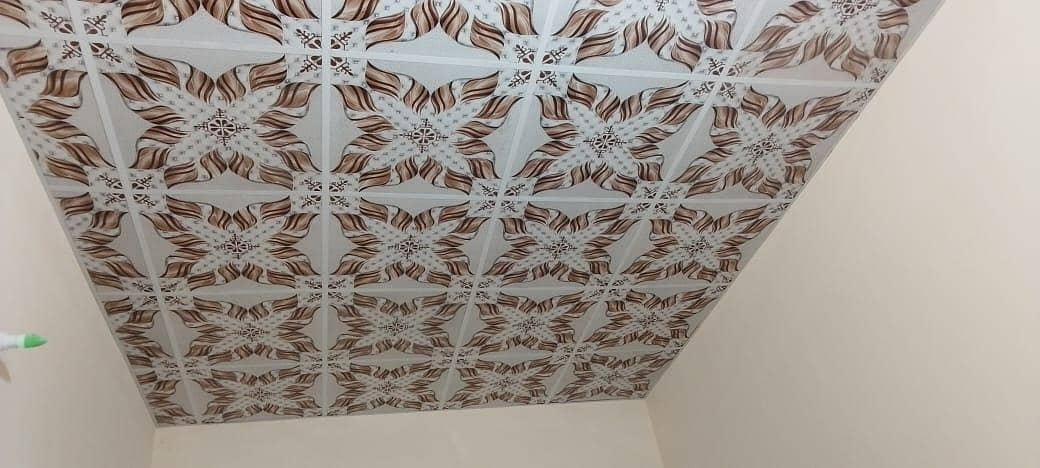 3D ceiling 1