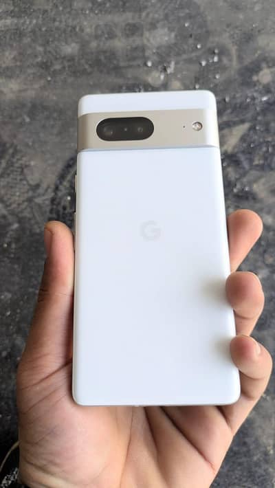 google pixel 7