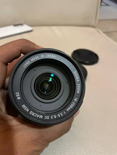 The Sigma 18-250mm f/3.5-6.3 DC Macro OS HSM lens