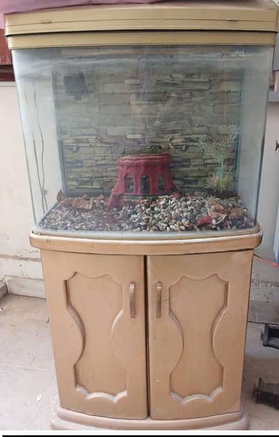 aquarium