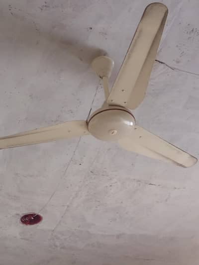 Time star fans ____ smooth performance