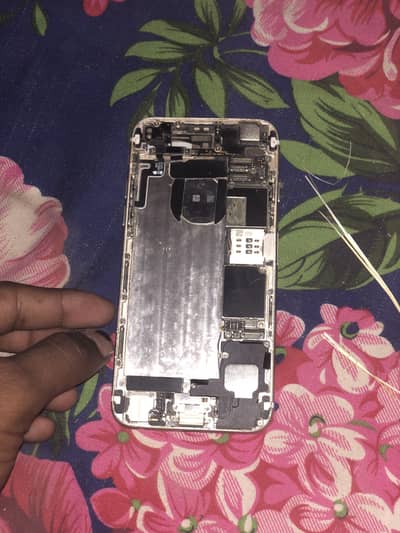 bord and  cramra frnd back