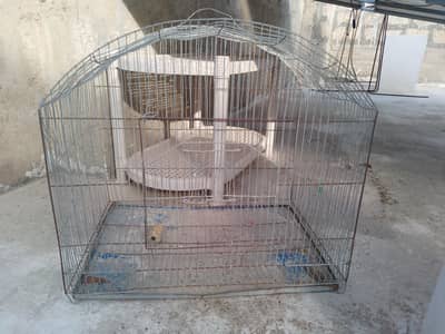 Parrots,  Diamond Dove ,lovebirds