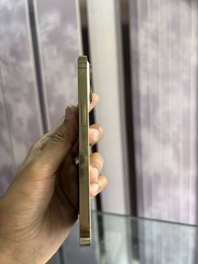 iPhone 13 Pro non pta 256 gb