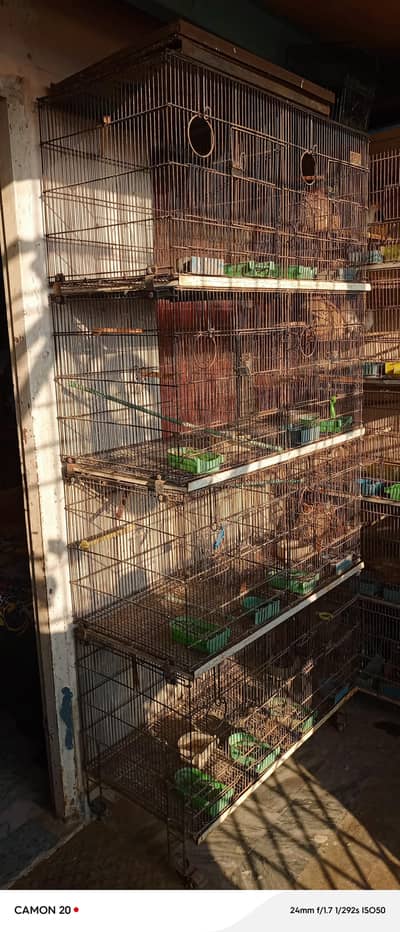 Folding Master Cage (8 Portion)