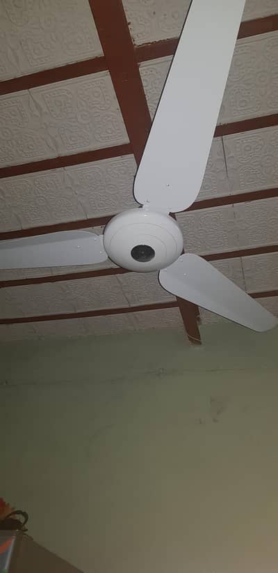 2 wahid ceiling fans