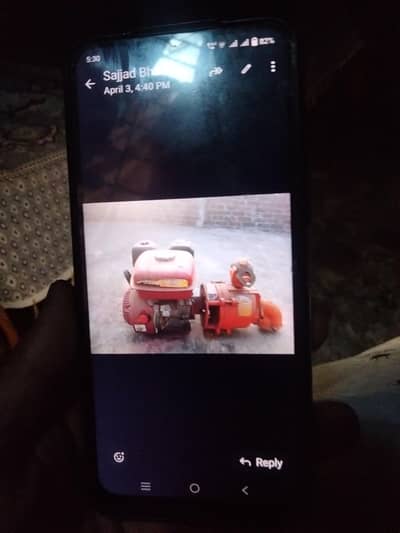 peatr swangold company  new condition hai