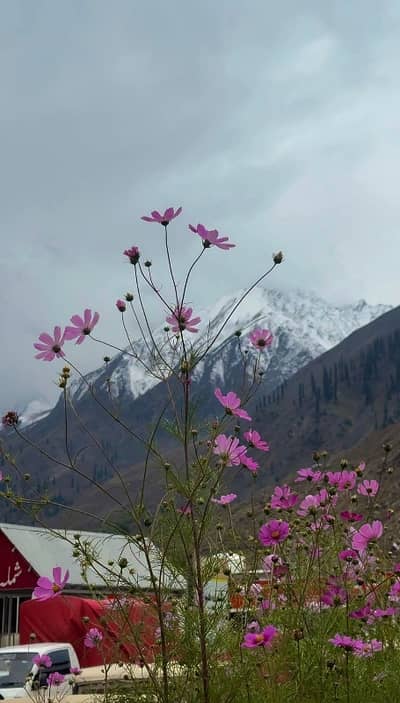 Park View City Islamabad F Block 5-Marla Plot Available