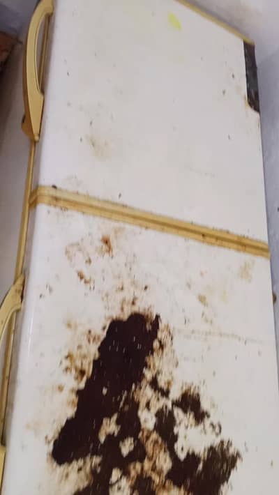 double door deep freezer