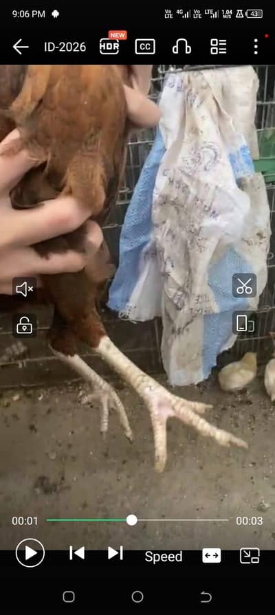 03056660657 argent sale