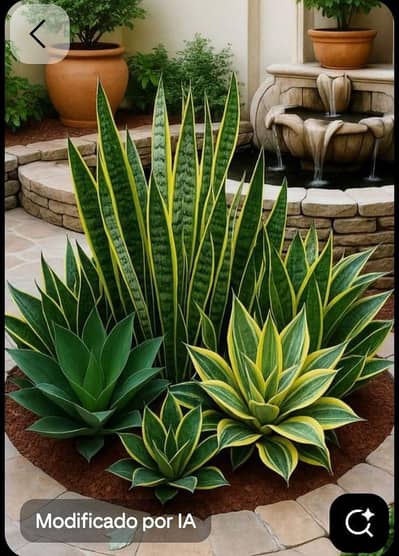 i need jobs mali ka kam koi bhi ho