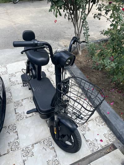 Evee Flipper - Electric Bike