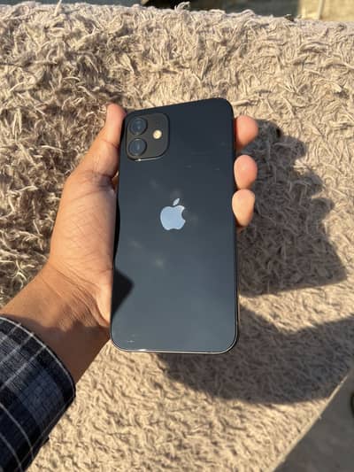 iPhone 12 Pta Aprooved