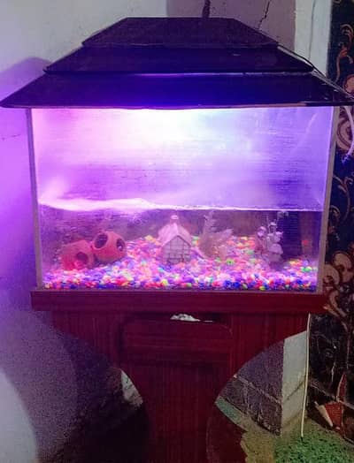 Fish Aquarium for sell