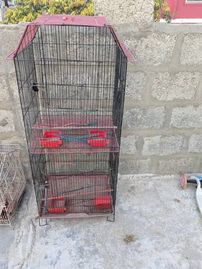 2 partition cage available