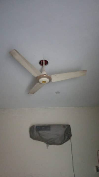 Royal Fan for sale / phanka for sale