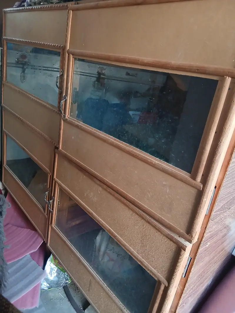 Automatic 4 portion Brooder for 150 to 200 chicks