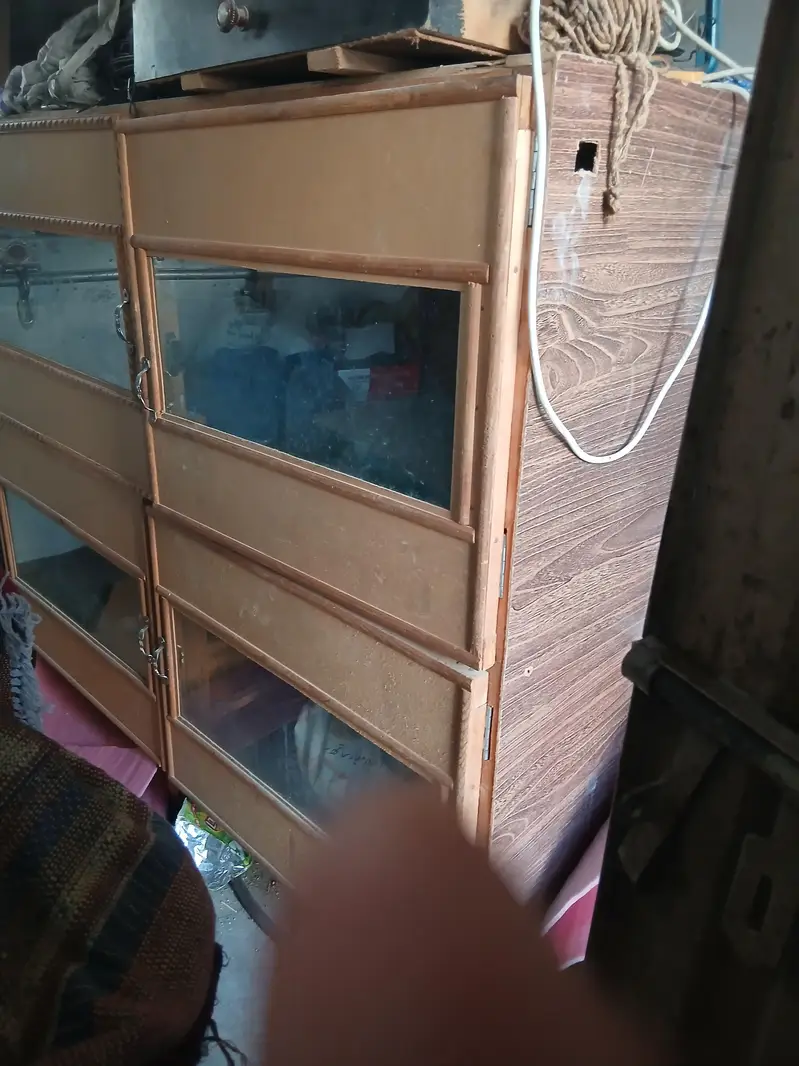 Automatic 4 portion Brooder for 150 to 200 chicks — photo 2