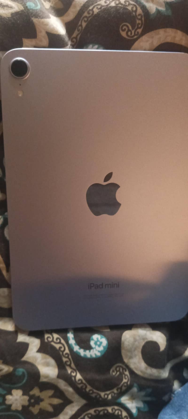 iPad mini 7 1