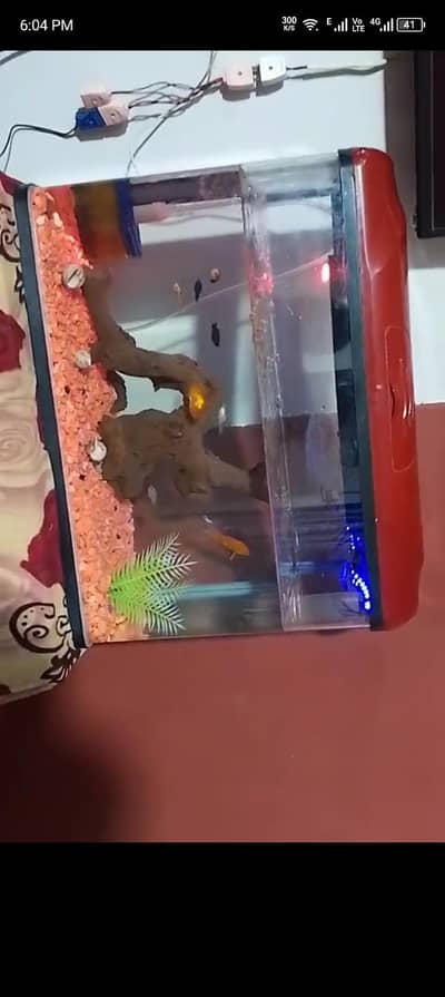 aquarium for sale with  stones filter machine free