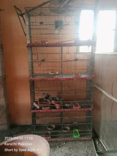 cage for sale  3 cage for sale