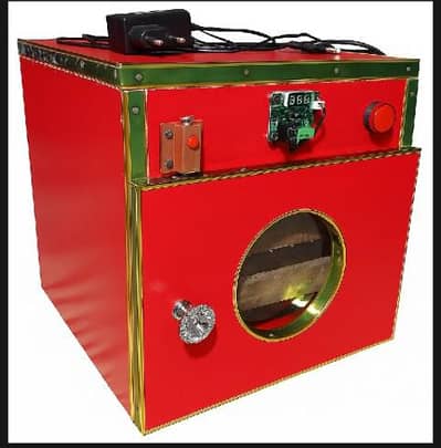 60 eggs in incubater