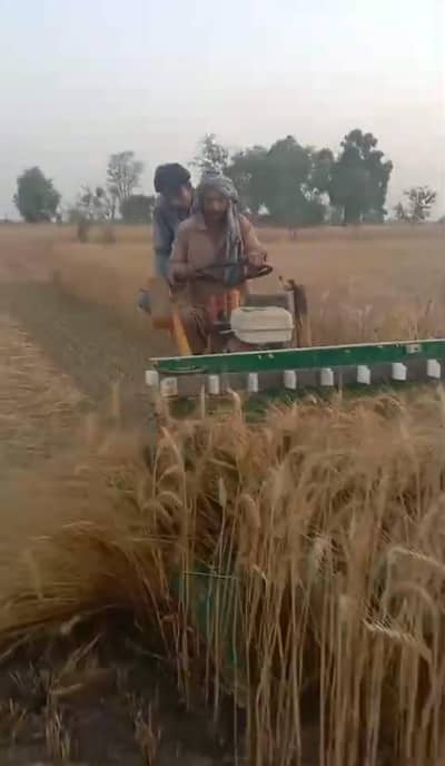 3 wheel wheat reaper machine very cheap price
