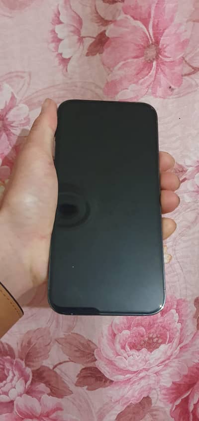 iPhone 13 Pro Max battery health 84 bypass condition 10 by 10